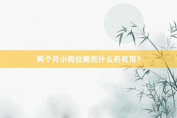 两个月小狗拉稀吃什么药有用？
