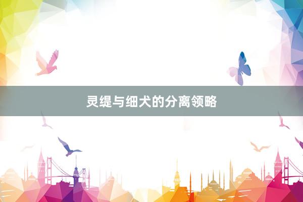 灵缇与细犬的分离领略