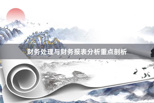 财务处理与财务报表分析重点剖析